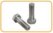  Stainless Steel Hex Head Bolt