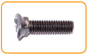  Stainless Steel Plow Bolt