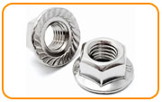   ASTM A193 Stainless Steel 304 Serrated Flange Nut