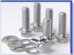 Stainless Steel Fasteners in Argentina
