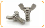  ASTM A193 Stainless Steel 304 Thumb & Wing Screws