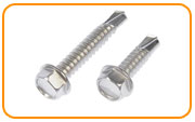 316h Stainless Steel Self Tapping Screw