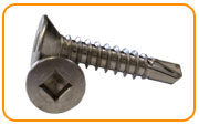 304H Stainless Steel Stainless Steel Screw