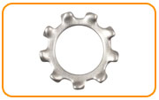  ASTM A193 Stainless Steel 304 Tooth Lock Washer