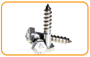 446 Stainless Steel Coach screws / Lag screw