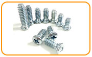 317l Stainless Steel Euro Screw