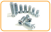 310 Stainless Steel Euro Screw