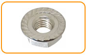  Stainless Steel Flange Lock Nut