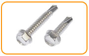 304L Stainless Steel Self Tapping Screw