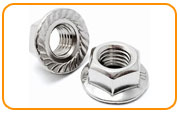 321 Stainless Steel Serrated Flange Nut