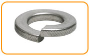  Stainless Steel Split /Lock Washer