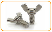 304L Stainless Steel Thumb & Wing Screws